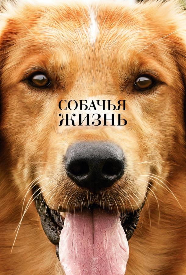 Фильм Собачья жизнь 2017 смотреть онлайн с Люком Кирби и Деннисом Куэйдом